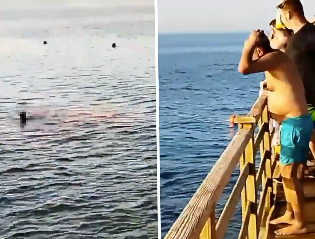 HOROR U POZNATOM LJETOVALIŠTU Austrijanka i Rumunjka preminule nakon dva stravičnog napada morskog psa