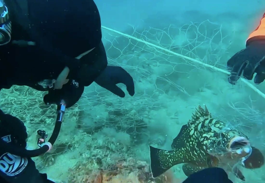 VIDEO Pogledajte kako ovaj ronioc spašava kirnju iz zaostale ribarske mreže