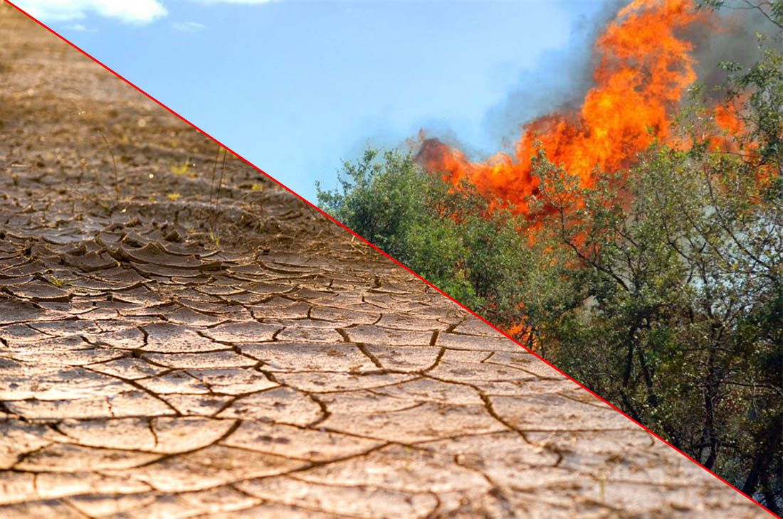 Goran Vojković o suši i požarima: “Da su se Židovi ponašali kao Hrvati, danas nitko za njih ne bi znao!”