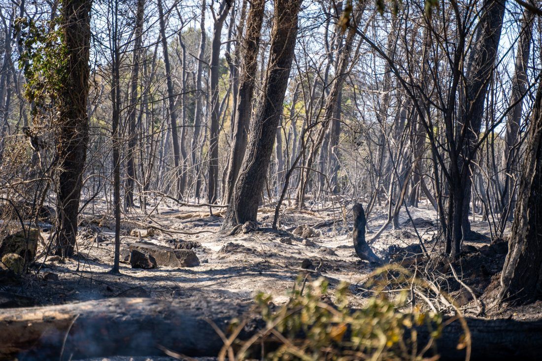 Građani na području Mjesnog odbora Valdebek neće platiti utrošenu vodu za gašenje požara