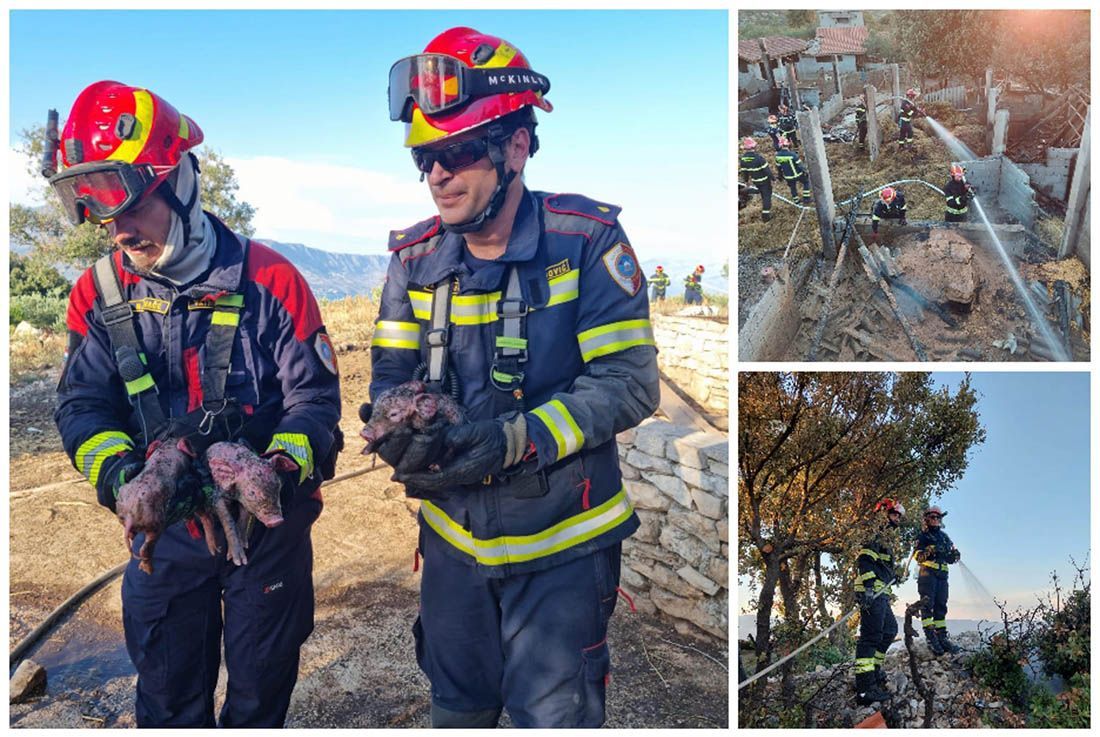 OSTALO SAMO ZGARIŠTE Na Braču izgorjela životinjska farma