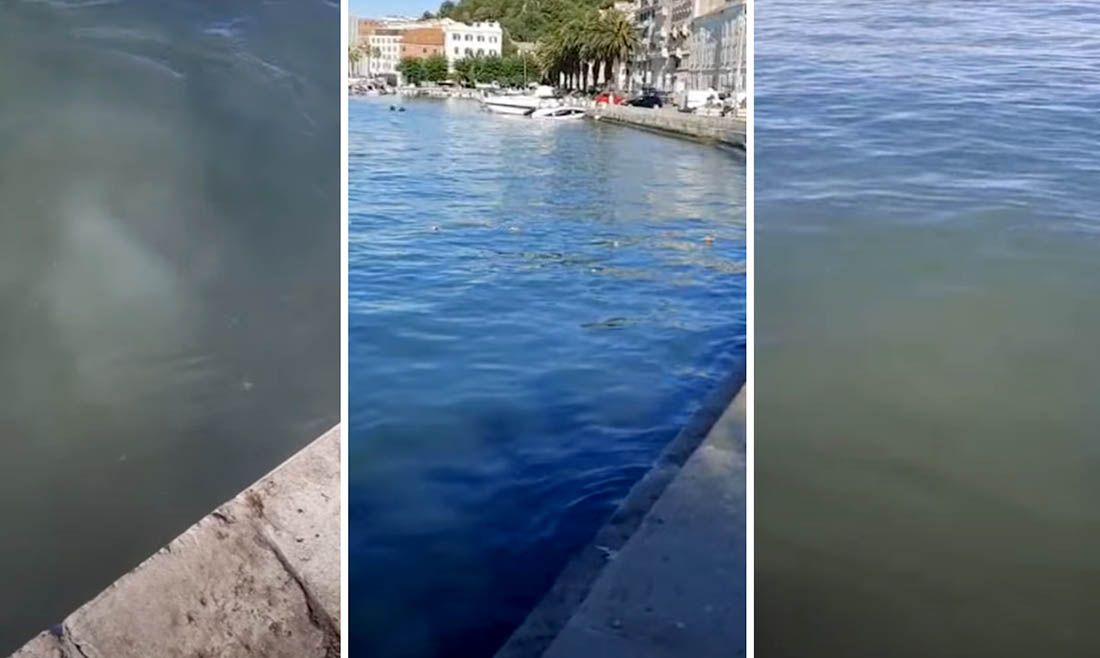 Ovo je jutros more uz Splitsku rivu: “Širi se smrad, a smeće pluta na površini”