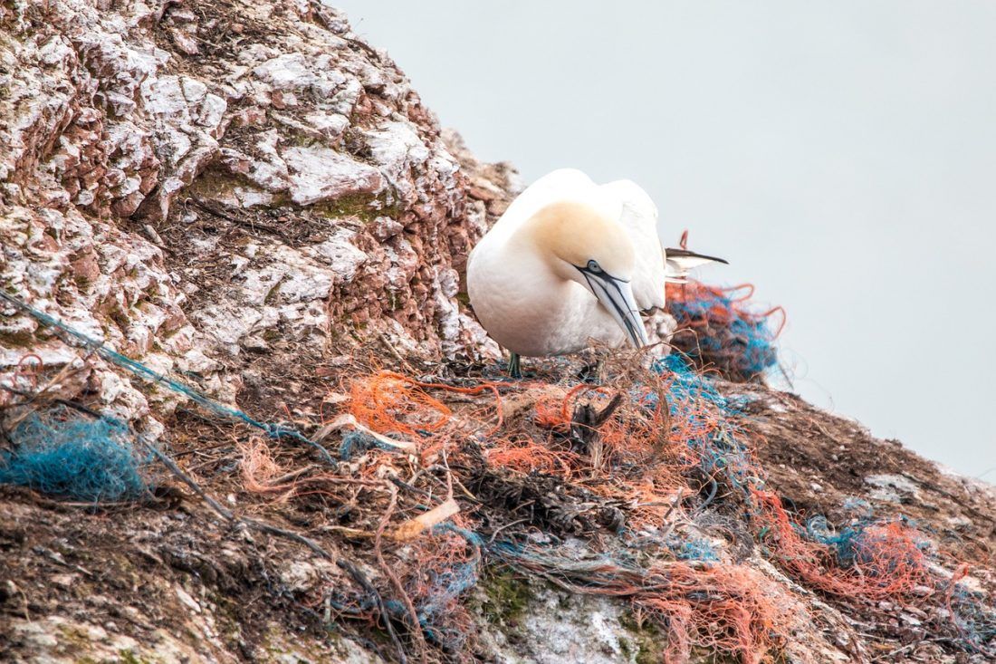 Ribarski brodovi odgovorni su za polovicu morskog onečišćenja plastikom