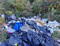 Akcija čišćenja uz Labinsku cestu