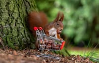 I tako... Cijene u listopadu 2025. više za čak 3,6% na godišnjoj razini