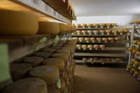 U CIJELOJ EU Zaštićen istarski ovčji sir, slijede li kobasice, tartufi i rakija?