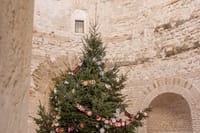 DAVNI DANI Dalmatincima je Badnjak oduvijek grijao dušu: "Umjesto božićnog drvca u kuću se unosila slama, a svijeća se gasila komadićem kruha umočenim u vino - evo i zašto!"