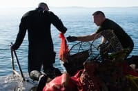 EKO -SUB Advent u znaku čišćenja splitskog podmorja