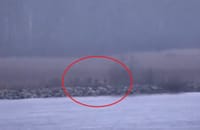 ZALUTALI RUSI Estonija: "Tri ruska policajca kratko su ušla u našu zemlju, stigli su brodom, postoji i video