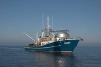 RIBARI POZOR Povrat plaćene trošarine na bezolovni motorni benzin