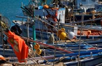 PLASTIČNI PARADOKS Ribari upozoravaju: "Jadran je prepun plastike, nemamo gdje s njom"