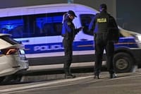 Pucnjava na riječkom Trsatu: "Oštećen prozor, fasada na ljekarni i dva automobila"