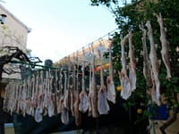 PELJEŠKI BADNJAK Domaća riba umjesto bakalara, pa zašto ne?