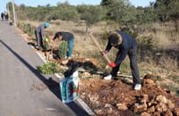 Krenulo uređenje ceste od Virskog mosta do centra otoka!