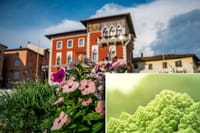 Vodnjan uvodi besplatno savjetovalište za prehranu