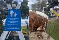 VIDEO Bor u Zadru pao na dječje igralište i kafić: "Sreća da priroda prati natječaje na pomorskom dobru..."