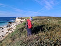 Terensko istraživanje morskih vranaca na području Nacionalnog parka Brijuni