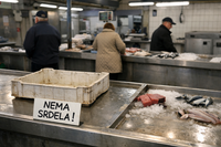 Lovostaj gotov, a Riječani gladni srdela: "Na ribarnici je nema, evo i zašto!"