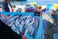 Kako duže očuvati ribu bez smrzavanja?