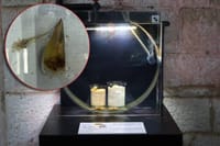 Hrvatski znanstvenici skeniranjem DNA pronašli perisku koju parazit ne ugrožava!