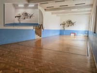 Čitatelji se žale na dvoranu u mjestu Selca na Braču. Načelnik: "To nije pravo stanje stvari, to su gljivice zbog obilnih kiša, sve ćemo sanirati i prebojati"