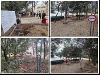 Pažani prosvjeduju protiv slovenskog investitiora: "Ograđena je plaža" - Gradonačelnik: "Zakon i pomorsko dobro će se poštovati!"