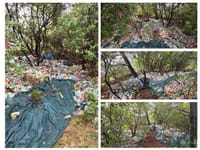 U srcu Šolte netko vrši pravi ekocid, a otočani poručuju: "Sve ćemo očistiti, volimo ovaj otok i nećemo odustati!"