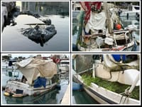 'PIRATI IZ TROGIRA' Fešta od brodova: "Jedan je potonulu brodicu zamotao u najlon, drugi uzgaja mahovinu"