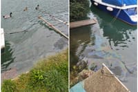 Nafta u moru dubrovačkog gradskog kotara