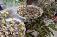 Vrhunac fešte Dani malostonske kamenice