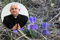 Nadbiskup Uzinić: "Moramo biti svjesni koliko ste neravnopravno tretirane samo zato što ste žene"