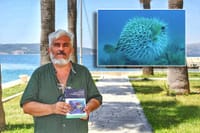 Nagrađeni splitski znanstvenik upozorava na invazivnu vrstu: "Sadrži otrov jači od cijanida, nemojte ju niti dodirivati"