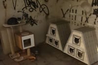 Prijepor oko mačaka u Makarskoj ulici u Splitu: "Komunalci uklonili kućice na Žnjanu, mace ostale bez zaklona"