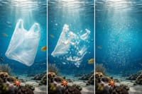 PLASTIKA I MORE Vrećica koja nestaje u moru - još uvijek san ili uskoro stvarnost?