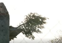 Urušio se neobičan "betonski bor s balkona" u Zadru