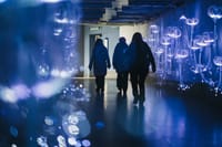 Pothodnik na Kvatriću postao podmorje