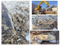 FOTO/VIDEO Policijski službenici uspješno uklonili bombu pronađenu u centru Pazina