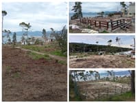 FOTO Šokantni prizori sa splitskih Bena: "Oluja je otkrila ono što su godinama skrivali borovi – pogledajte razmjere sustavne pohlepe!"