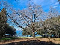 Vodič za građane - 'Sigurno kroz krize' Istarske županije