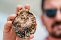 EUROPSKA KAMENICA Mali segment, velika tržišna vrijednost