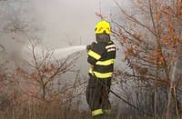 Požar u općini Barban i Istri, bura otežava gašenje
