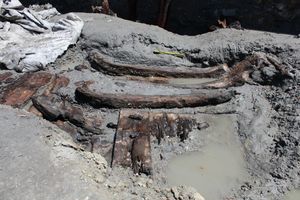 NEVJEROJATNO OTKRIĆE NA RABU Na gradilištu hotela pronađeni drveni brodovi iz 14. stoljeća!