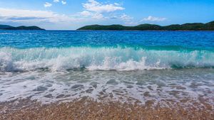 Profesorica u Odsjeku za ispitivanje voda: Istražujemo invazivnu bakteriju vibrio koleru