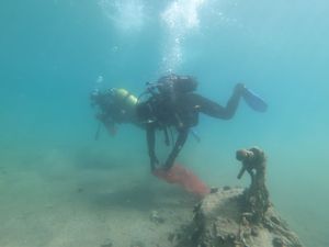 EKO Malostonski zaljev – Velika ekološka akcija čišćenja podmorja