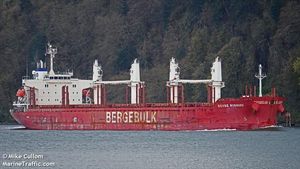 Više od 500 pomoraca svake godine nestane na moru: Slučaj na Novom Zelandu pokrenuo istragu o pravima pomoraca