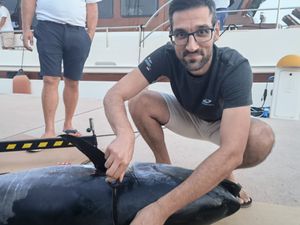 Tune s 'Tune fever' dio znanstvenog projekta