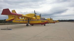 Novo prizemljenje zbog ptice