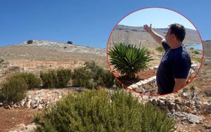 Otočani u strahu, struka zabrinuta: "Na Kornate prvi put stigle krvoločne zvijeri, pratimo ih dvije godine!"