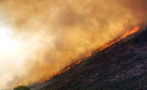 TRAGIČNA VIJEST Poginuo vatrogasac na požarištu kod Dubrovnika