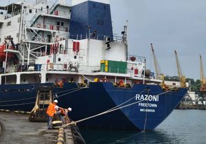 Gerhard Schroeder: "Dogovor o žitu put prema primirju"